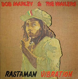 BMW Rastaman Vibration